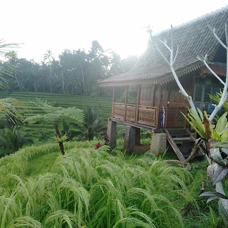 D'Ume Bendoel Homestay Jatiluwih Exterior foto
