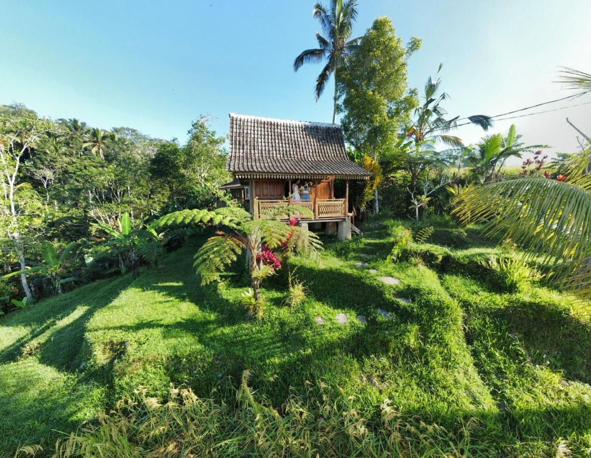 D'Ume Bendoel Homestay Jatiluwih Exterior foto
