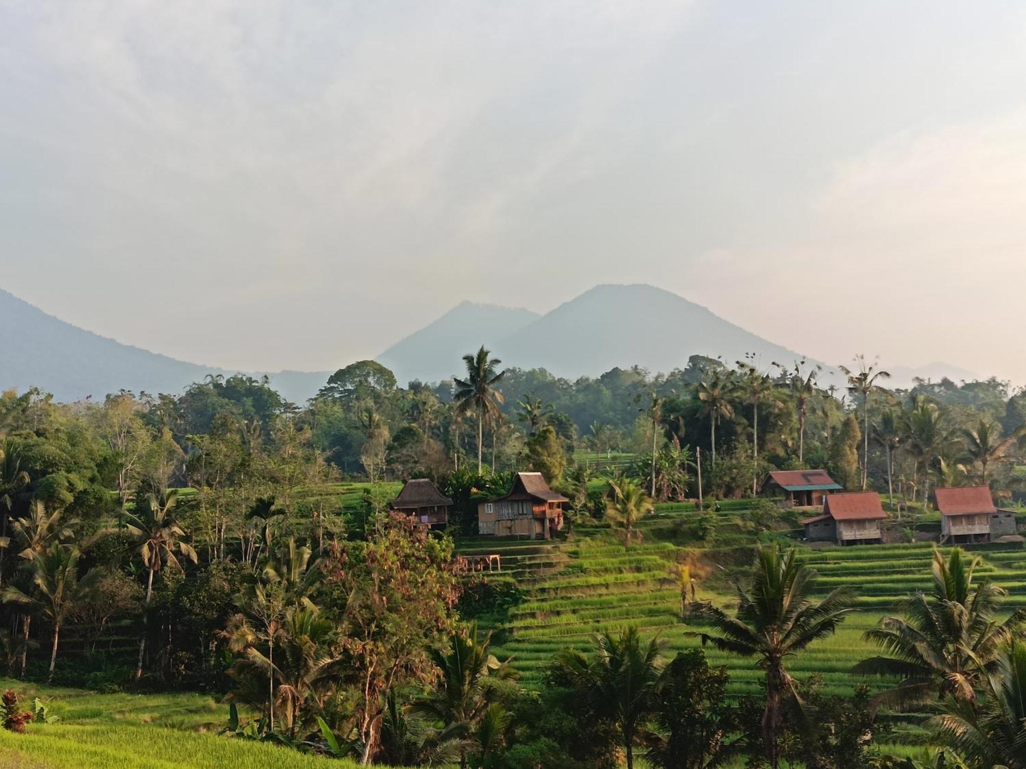 D'Ume Bendoel Homestay Jatiluwih Exterior foto
