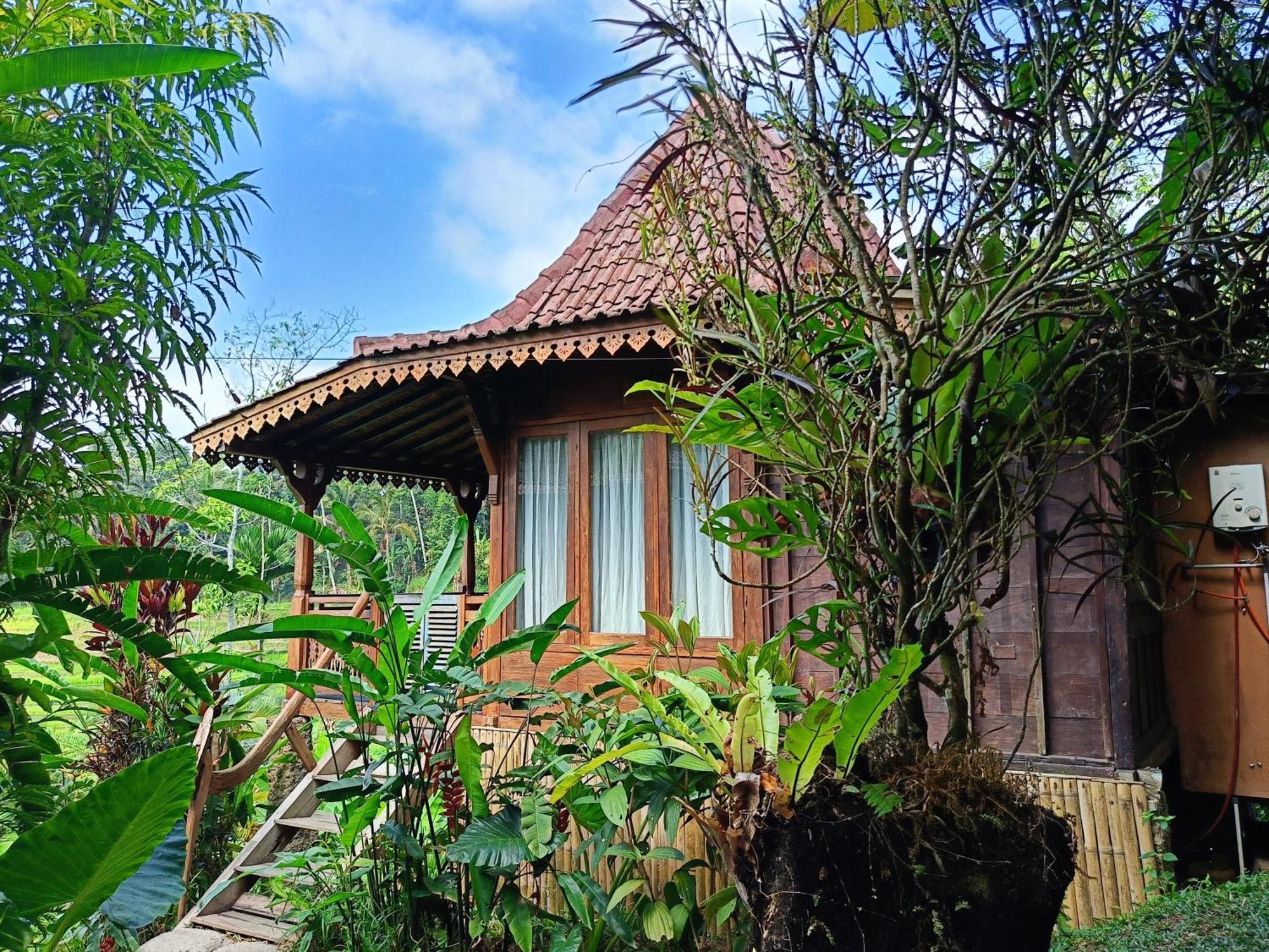 D'Ume Bendoel Homestay Jatiluwih Exterior foto
