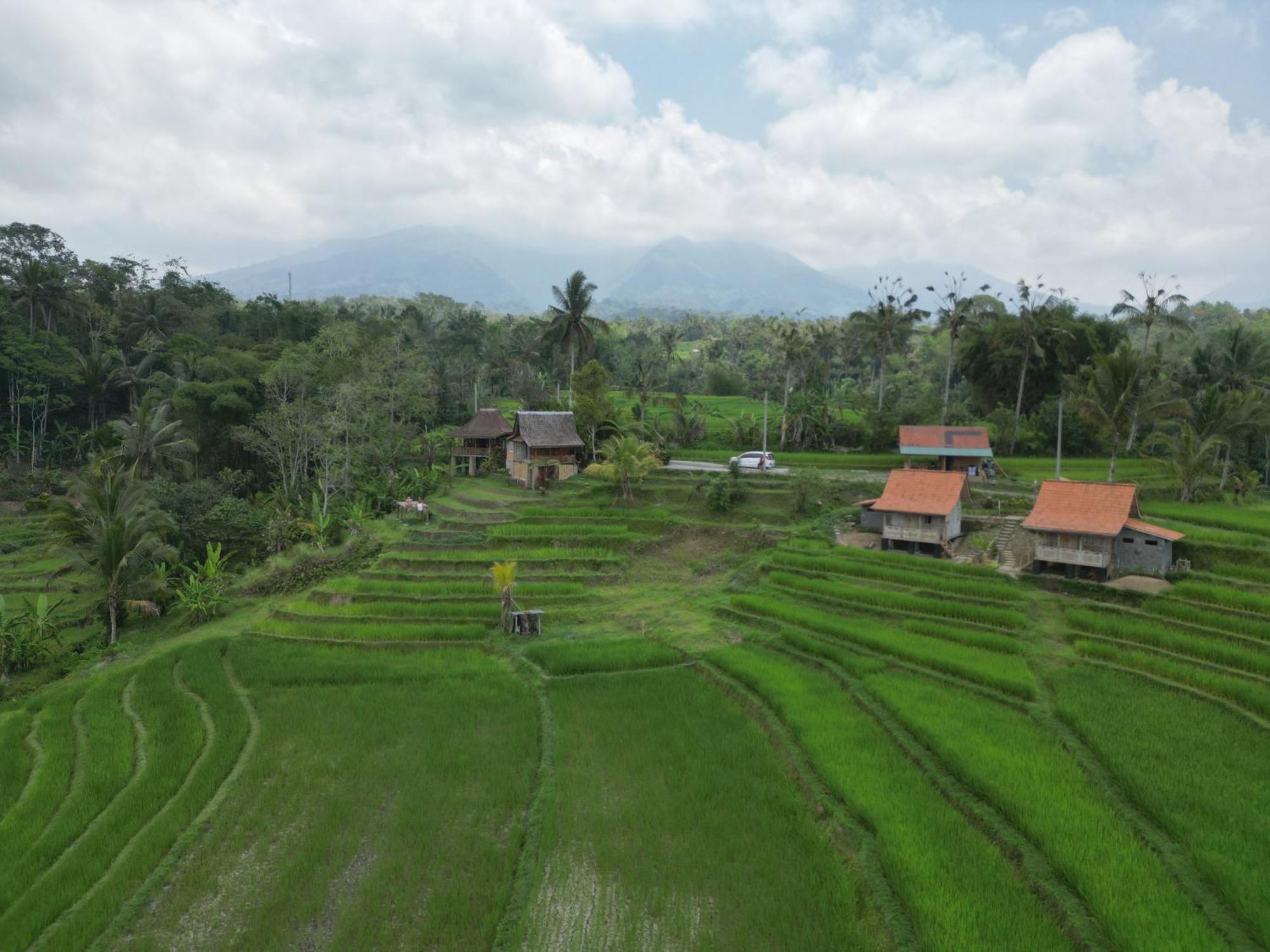 D'Ume Bendoel Homestay Jatiluwih Zimmer foto