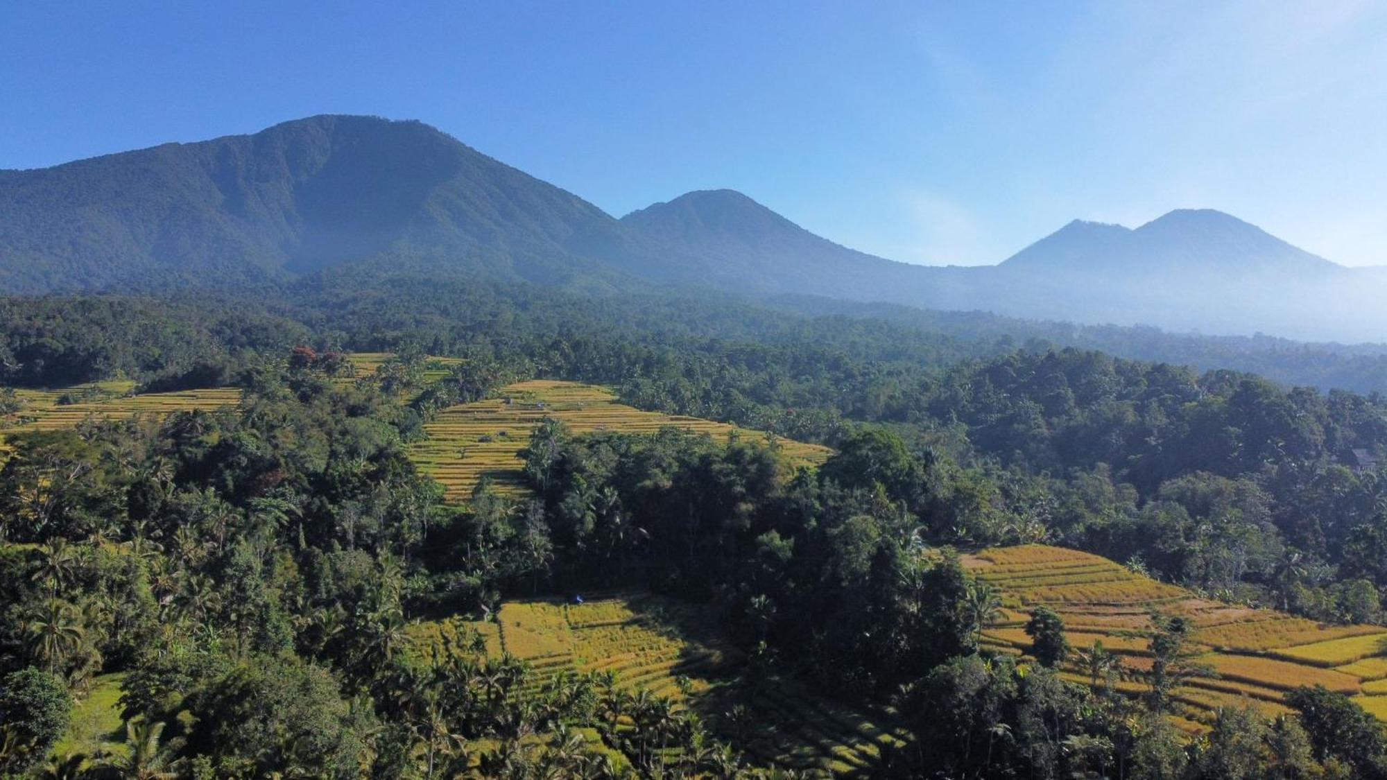 D'Ume Bendoel Homestay Jatiluwih Zimmer foto