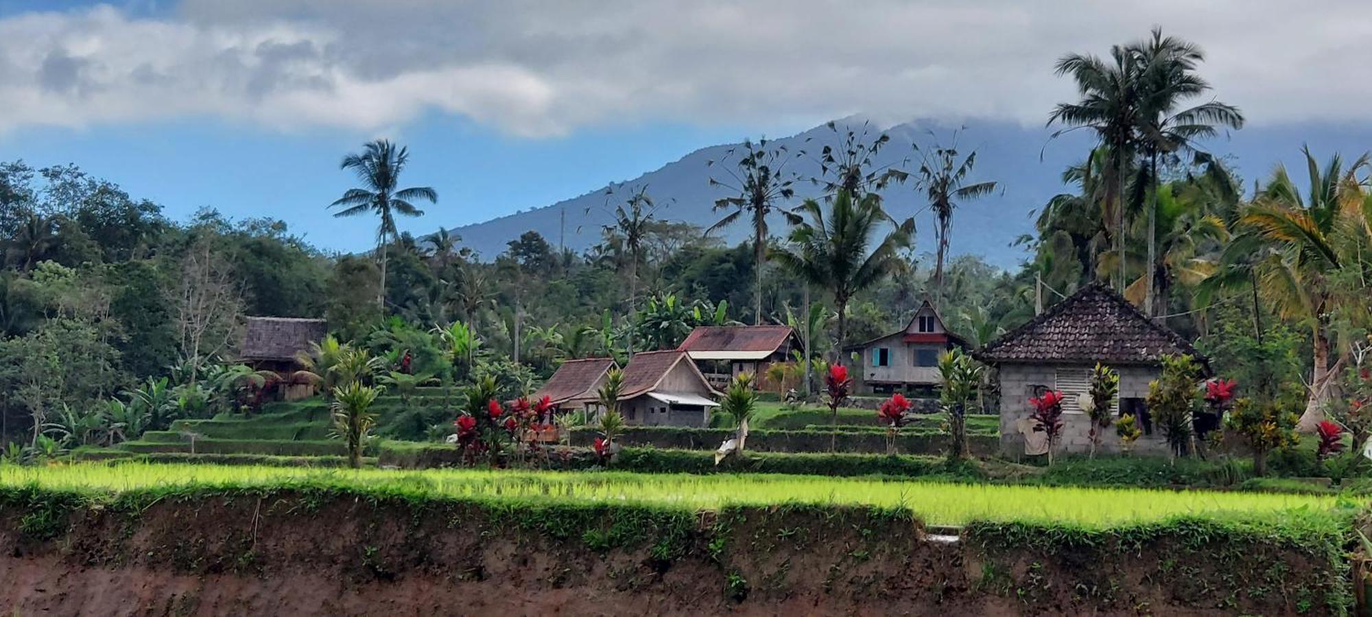 D'Ume Bendoel Homestay Jatiluwih Exterior foto