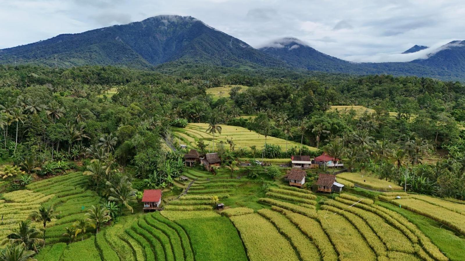 D'Ume Bendoel Homestay Jatiluwih Exterior foto