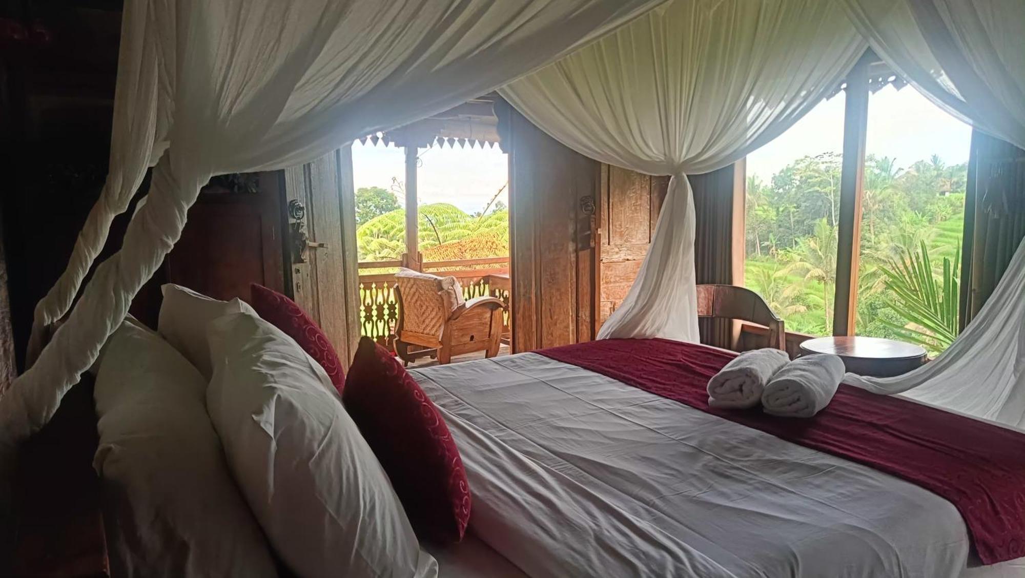 D'Ume Bendoel Homestay Jatiluwih Zimmer foto